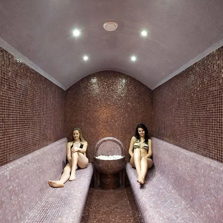 Hotel Samokov 4*