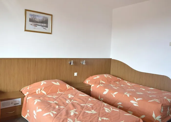 Hotel Samokov 4*