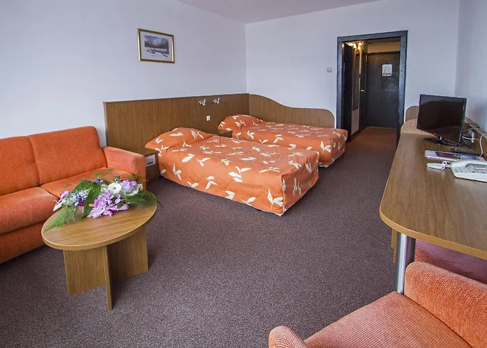 Hotel Samokov 4*